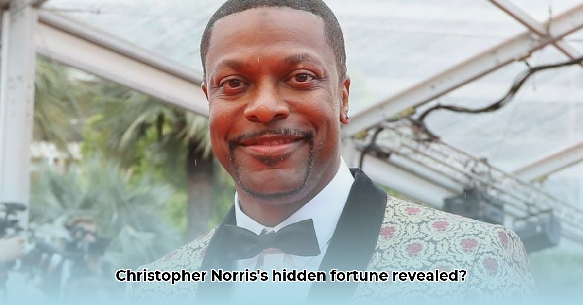 christopher-norris-net-worth